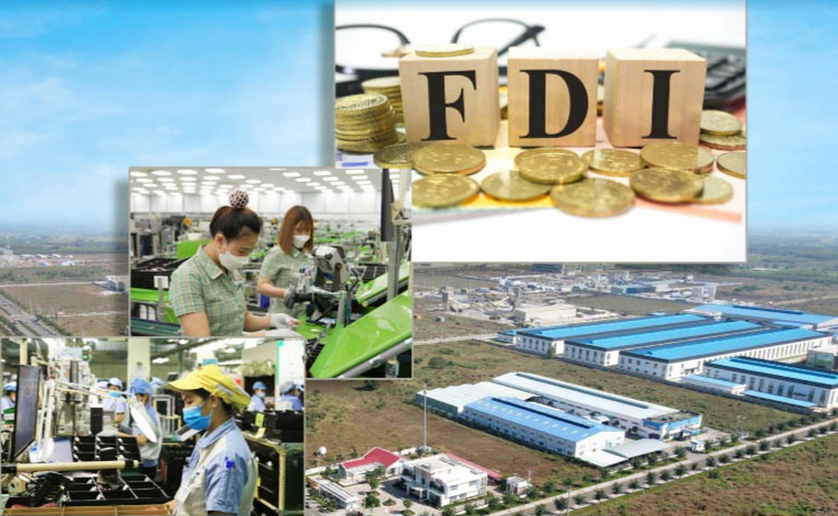 FDI thế hệ mới: Cơ hội để doanh nghiệp Việt và phụ nữ bước vào chuỗi giá trị toàn cầu - Ảnh 3.
