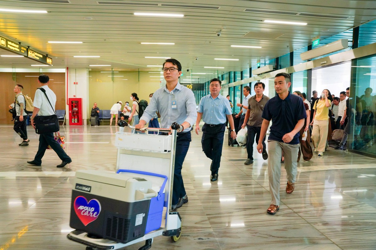 Trái tim từ người hiến chết não cứu bệnh nhân 29 tuổi bị suy tim giai đoạn cuối - Ảnh 1.