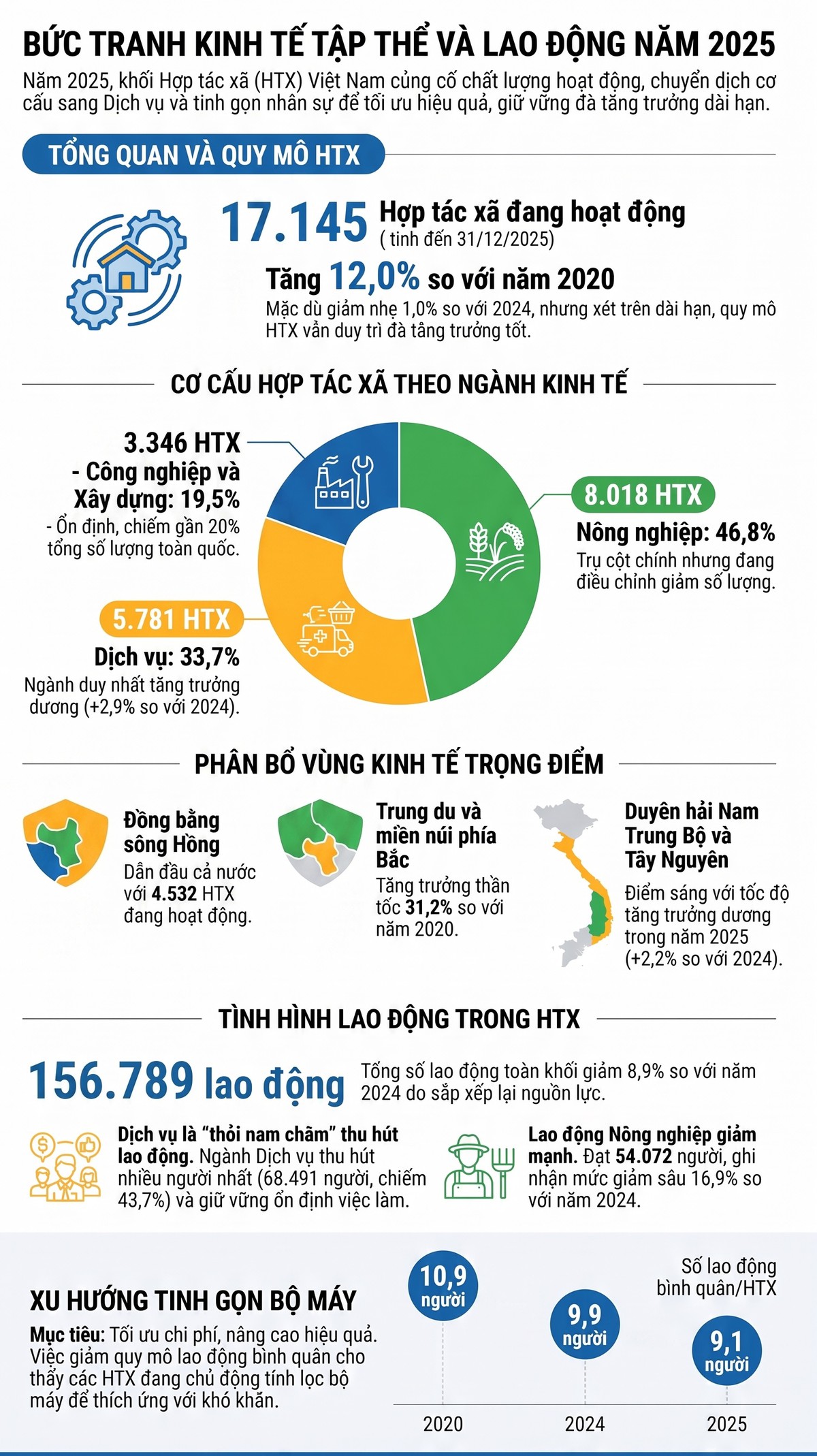 Số lượng hợp tác xã và lao động giảm, xu hướng "tinh gọn để hiệu quả" - Ảnh 1.