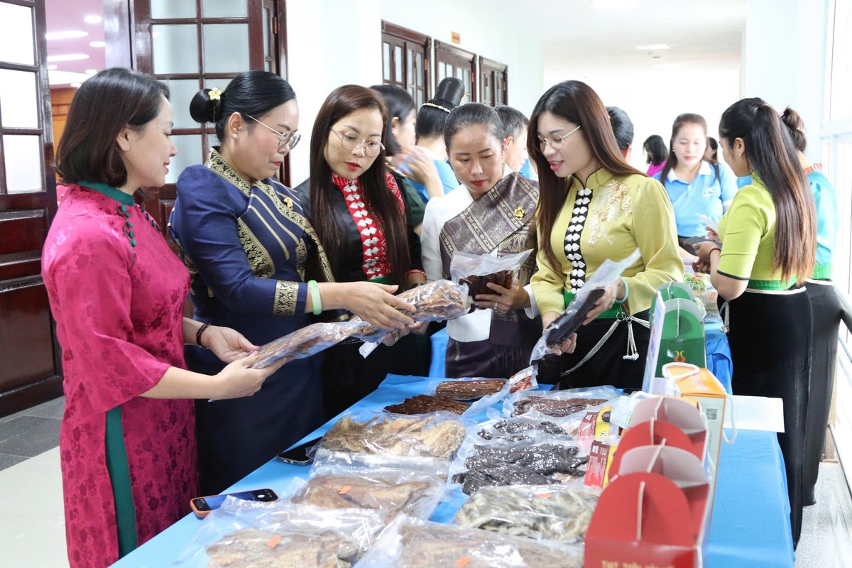 Thắt chặt tình hữu nghị giữa phụ nữ Sơn La và các tỉnh nước bạn Lào- Ảnh 5.
