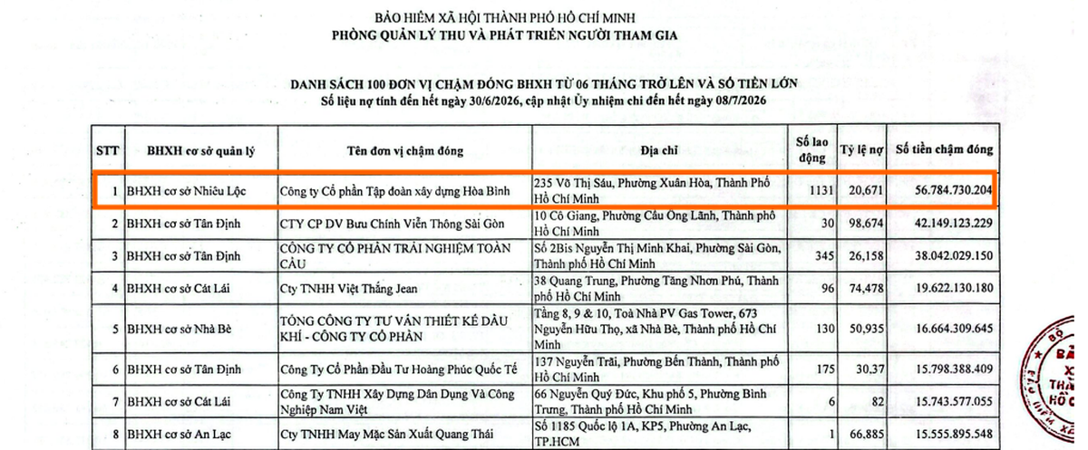 Tập đoàn hoà Bình đứng đầu danh sách chậm đóng BHXH với 56 tỷ đồng - Ảnh 1.