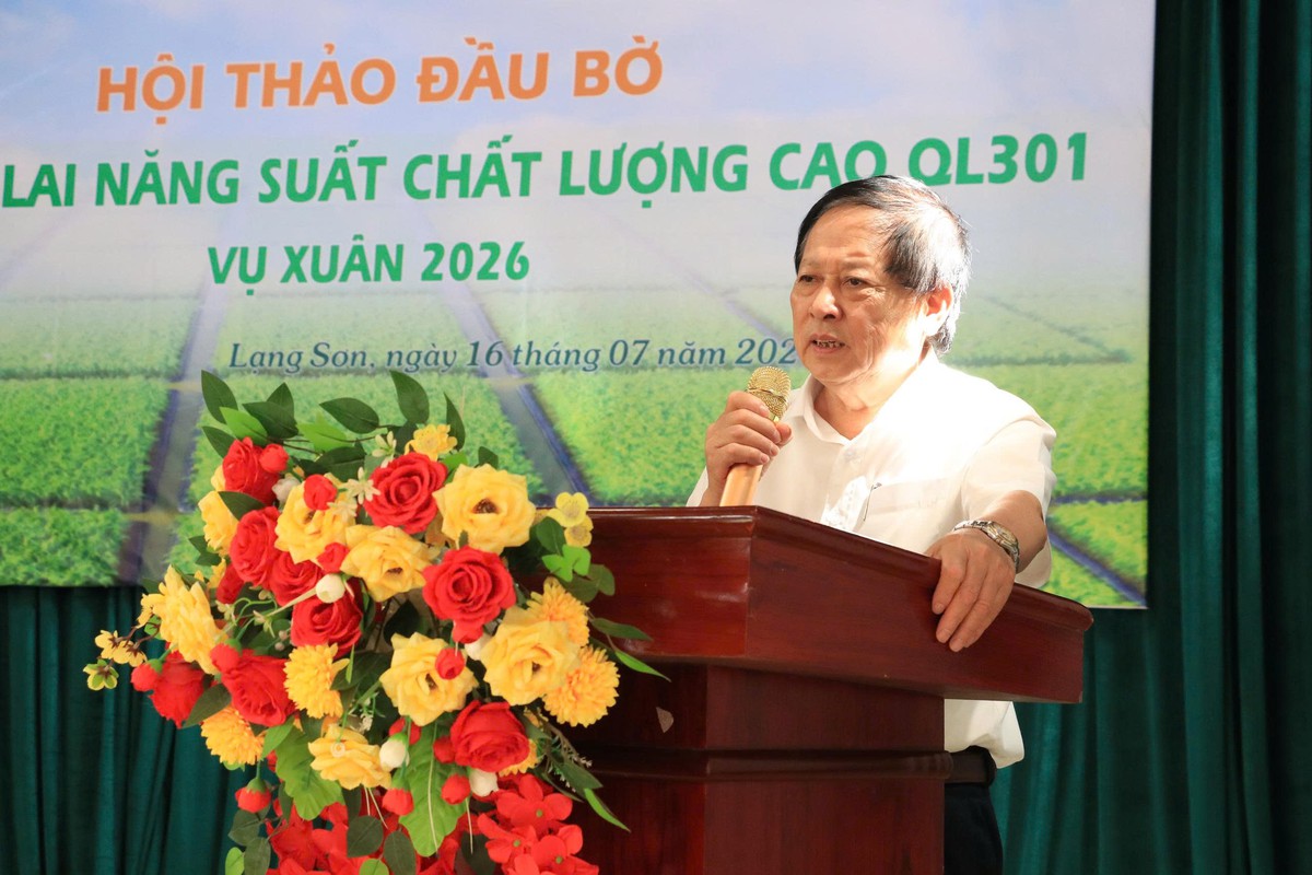Phụ nữ xứ Lạng hào hứng với giống lúa giúp xóa đói, giảm nghèo- Ảnh 4.
