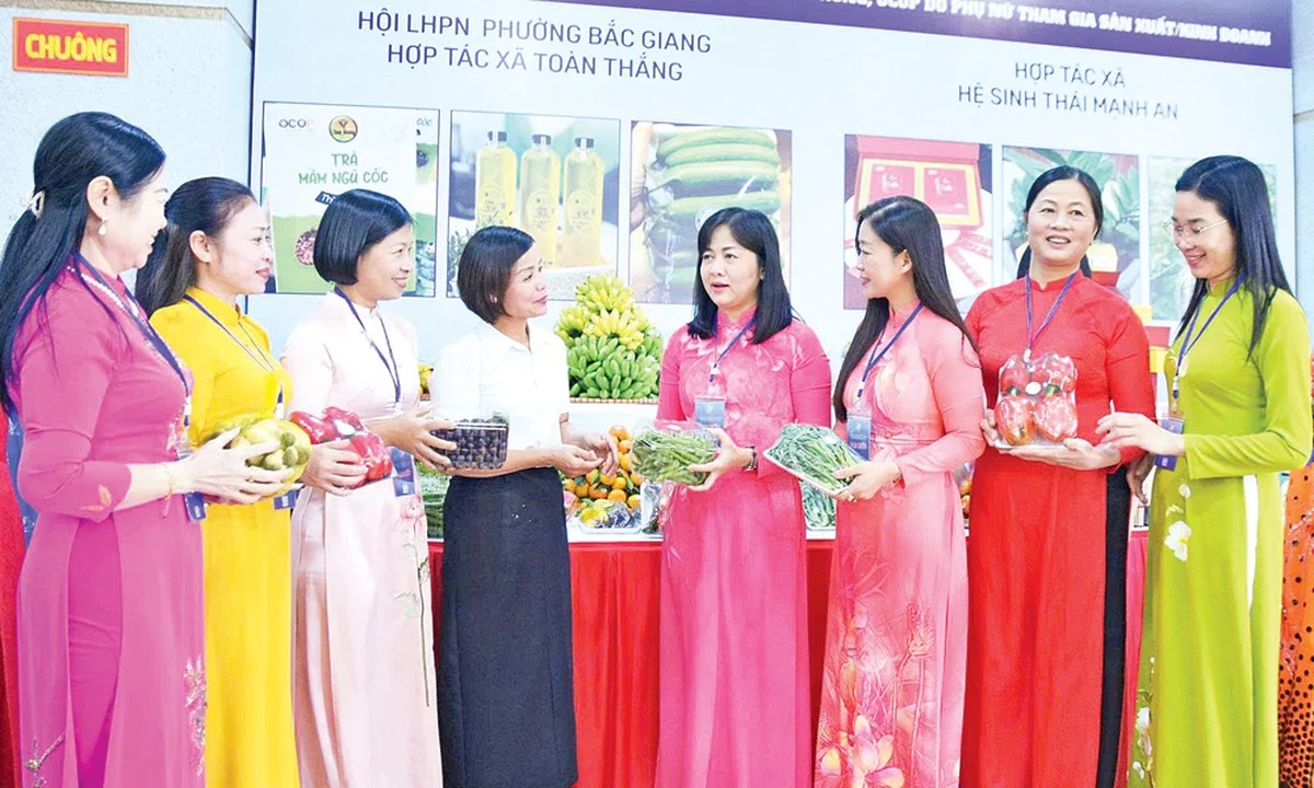 Phát triển hợp tác xã do phụ nữ quản lý: Từ chủ trương đến những chuyển biến tích cực- Ảnh 1.