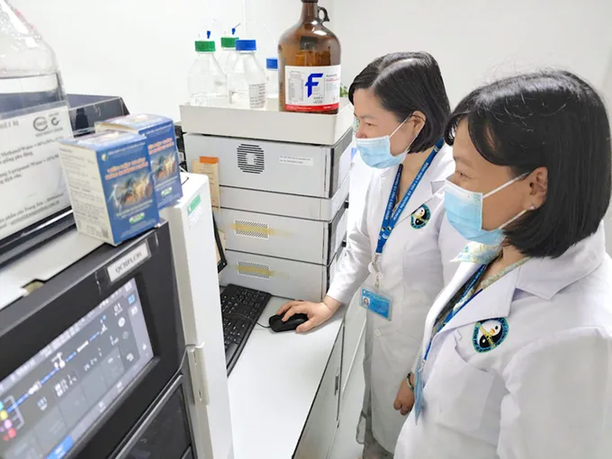 Phụ nữ góp phần làm nên tầm vóc Thành phố mang tên Bác- Ảnh 2.