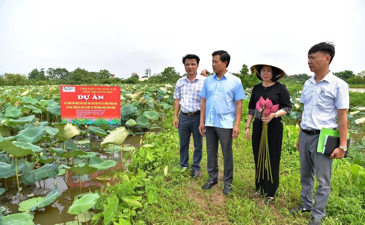 Hà Nội chuyển mình cùng nông nghiệp xanh- Ảnh 2.