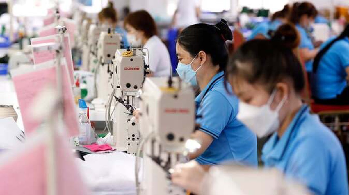 Vì sao doanh nghiệp thành lập mới và giải thể cùng tăng mạnh?- Ảnh 1.