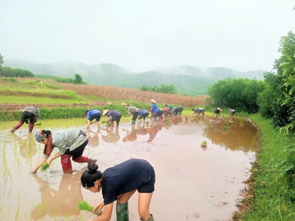 Phụ nữ Bắc Ninh nấu "Bữa cơm nghĩa tình" bằng lòng biết ơn  - Ảnh 5.