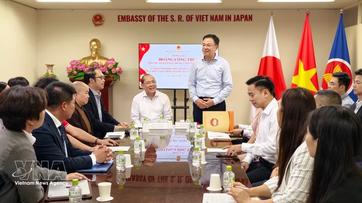 Strengthening and promoting the role of the Vietnamese community in Japan - Ảnh 2.