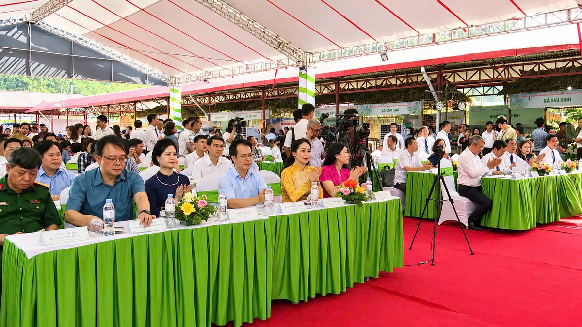 Thương mại điện tử mở lối cho na Chi Lăng và nông sản Lạng Sơn- Ảnh 1.