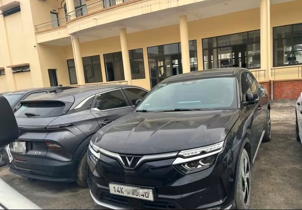 Thu hồi 7 ô tô trong vụ thuê xe tự lái rồi chiếm đoạt - Ảnh 1.