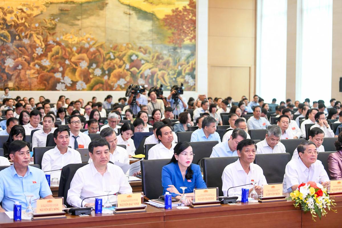 Phó thủ tướng: Cần tăng cường giám sát thực thi pháp luật ở cấp tỉnh, cấp xã - Ảnh 1.