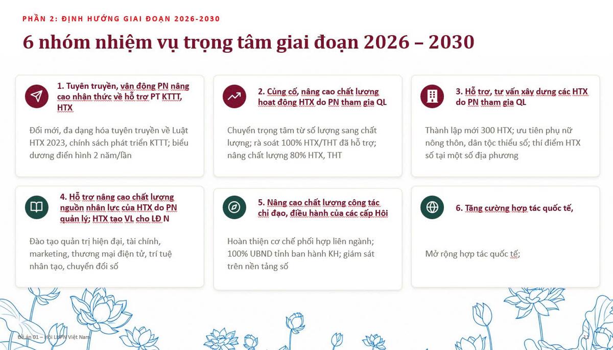 Đồng hành cùng hợp tác xã do phụ nữ tham gia quản lý phát triển bền vững - Ảnh 6.
