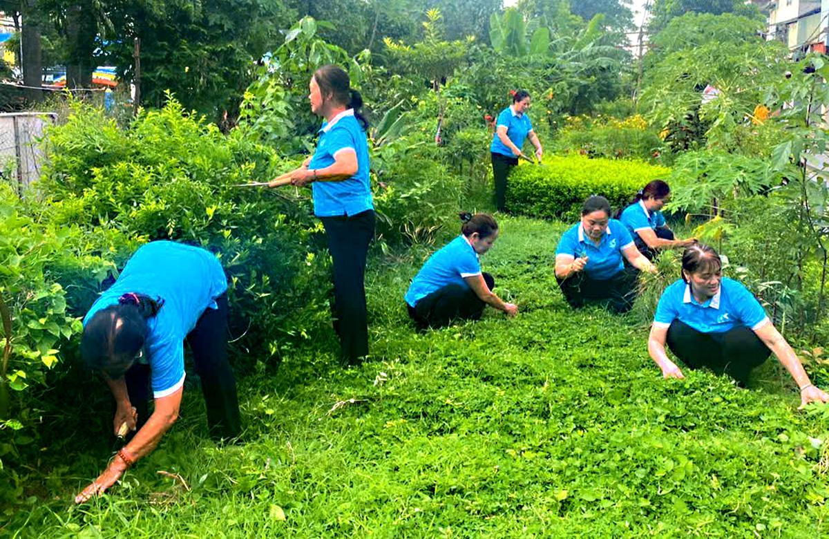 Xã xã hội chủ nghĩa Thư Lâm triển khai Chiến dịch "100 ngày hành động"- Ảnh 2.