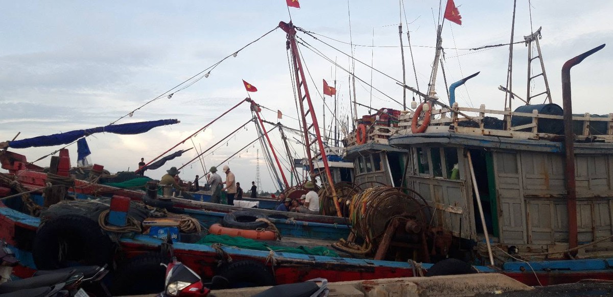 Bộ đội Biên phòng Ninh Bình triển khai "4 tại chỗ" ứng phó bão số 1- Ảnh 2.
