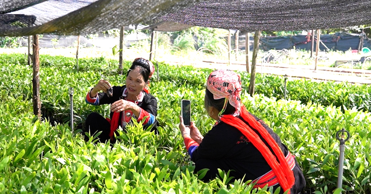 Bình đẳng giới nhìn từ kỹ năng an toàn số- Ảnh 1.
