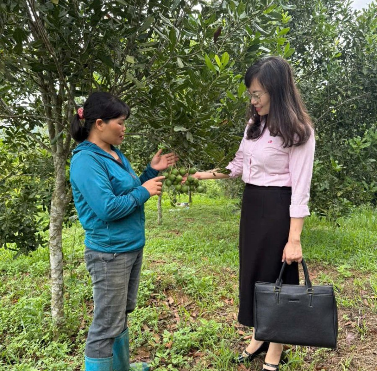 Nâng cao chất lượng ủy thác vay vốn chính sách cho phụ nữ Lạng Sơn - Ảnh 1.