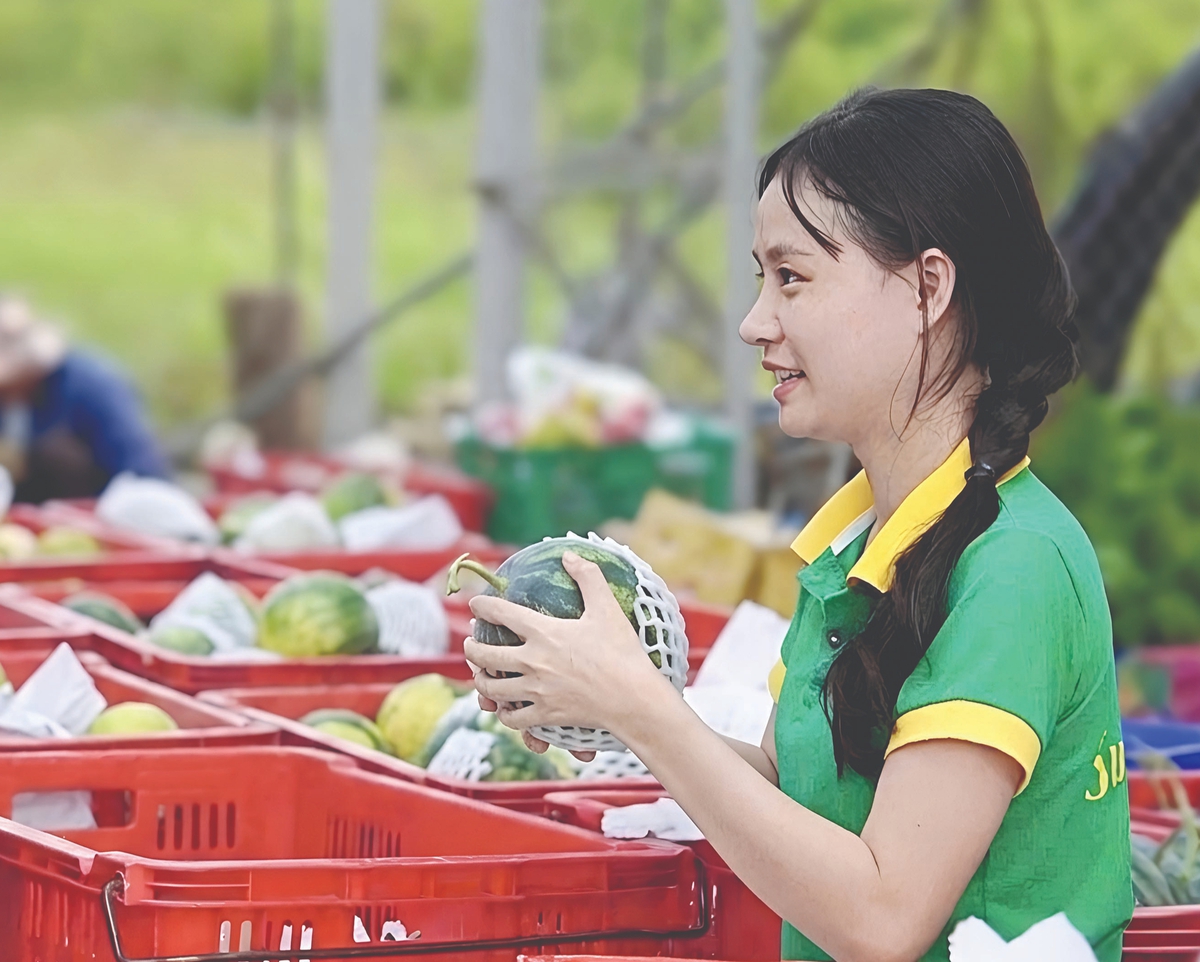 Nữ cử nhân Luật bằng Giỏi rời phố về quê “kể chuyện nông sản”- Ảnh 2.
