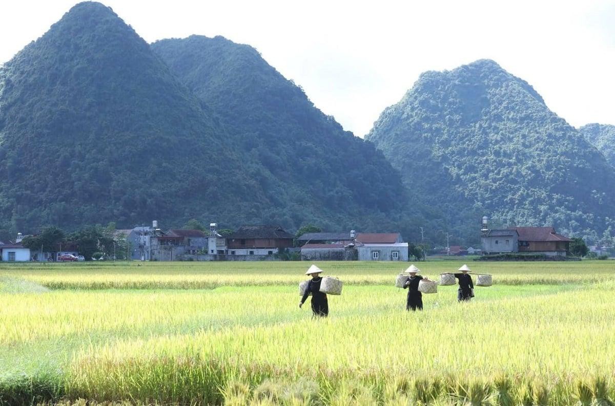 Thương mại, dịch vụ bứt phá, góp phần đưa GRDP Lạng Sơn tăng hơn 7% trong 6 tháng đầu năm 2026- Ảnh 3.