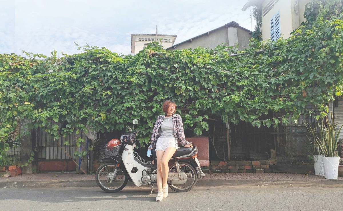 Thợ làm vườn trong phố- Ảnh 1.
