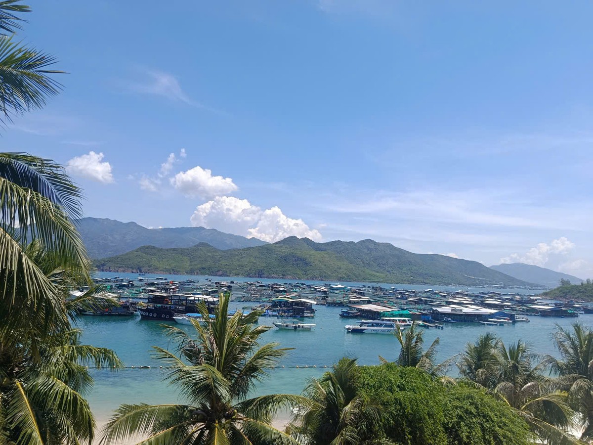 Khánh Hòa: Chủ tịch tỉnh chỉ đạo xử lý các chủ lồng bè, nhà bè nổi tự phát sau phản ánh của Báo Phụ nữ Việt Nam- Ảnh 1.
