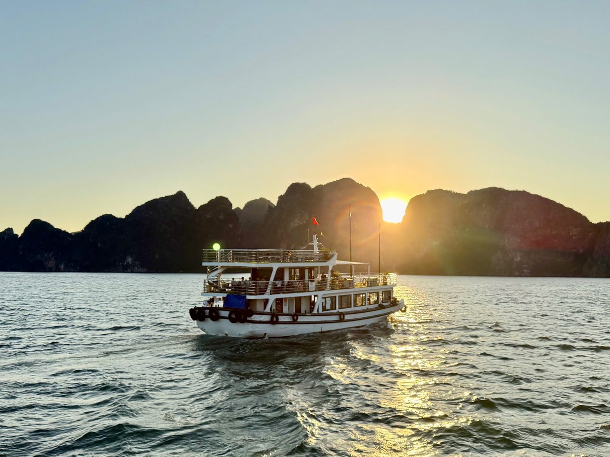Triển khai nhiều giải pháp để đảm bảo an toàn du lịch trên vịnh Hạ Long- Ảnh 1.