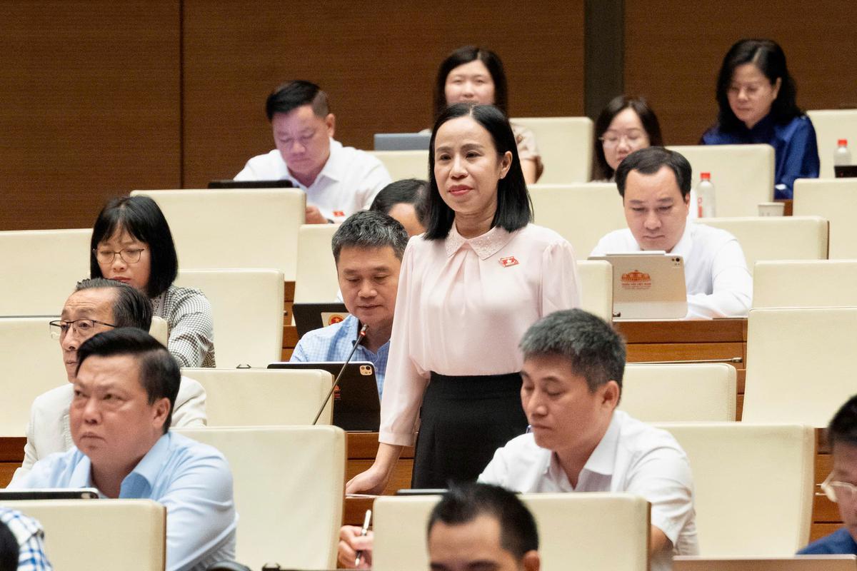 Đại biểu đề nghị "đặt lằn ranh đỏ" với hòa giải bạo lực gia đình, xâm hại trẻ em - Ảnh 4.