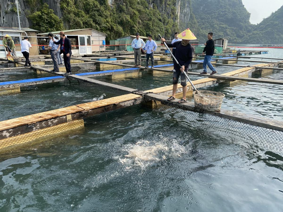 "Sóng gió" trên chặng đường hướng tới xuất khẩu thủy sản đạt 12 tỷ USD - Ảnh 1.