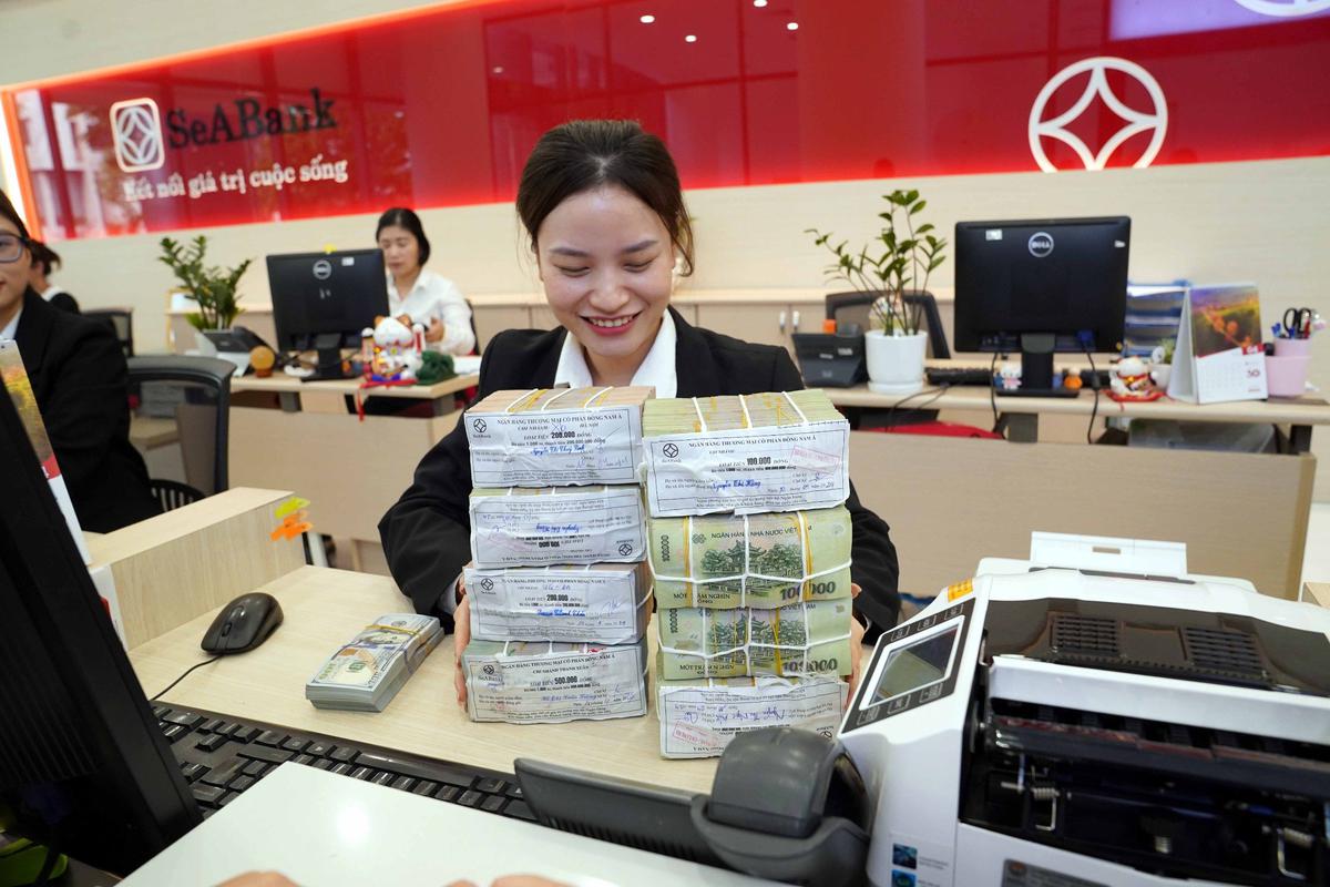 Thấy gì từ việc Moody's nâng xếp hạng tín nhiệm cho SeABank? - Ảnh 1.