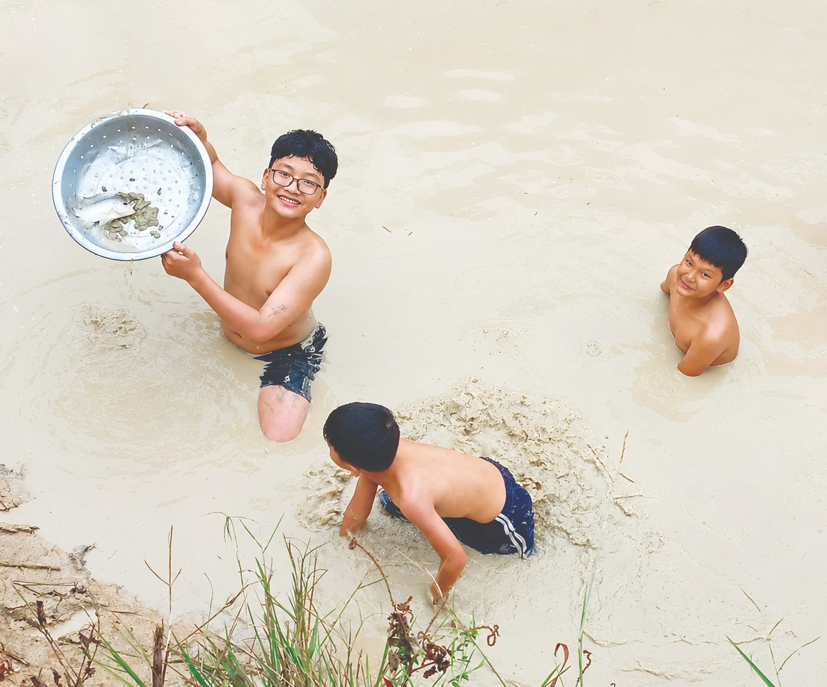 Kỳ nghỉ hè không điện thoại- Ảnh 2.