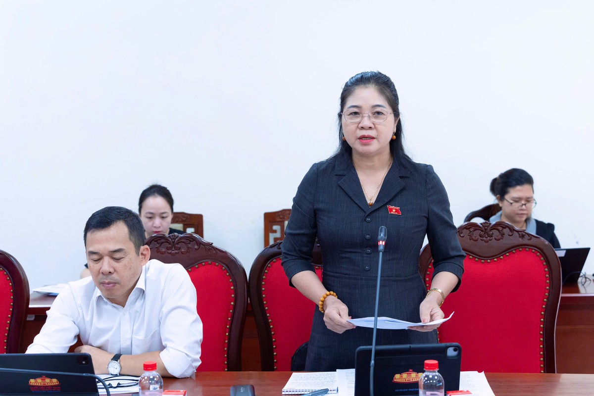 Cần đẩy mạnh lồng ghép vấn đề giới trong dự thảo Luật An toàn, vệ sinh lao động (sửa đổi) - Ảnh 3.