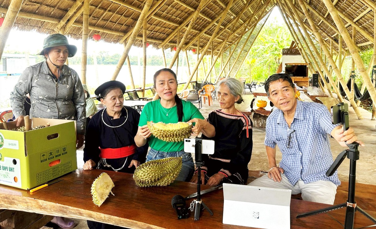 Lễ hội Sầu riêng Đắk Lắk 2026: Từ trái ngọt cao nguyên đến hành trình nâng tầm sinh kế- Ảnh 1.