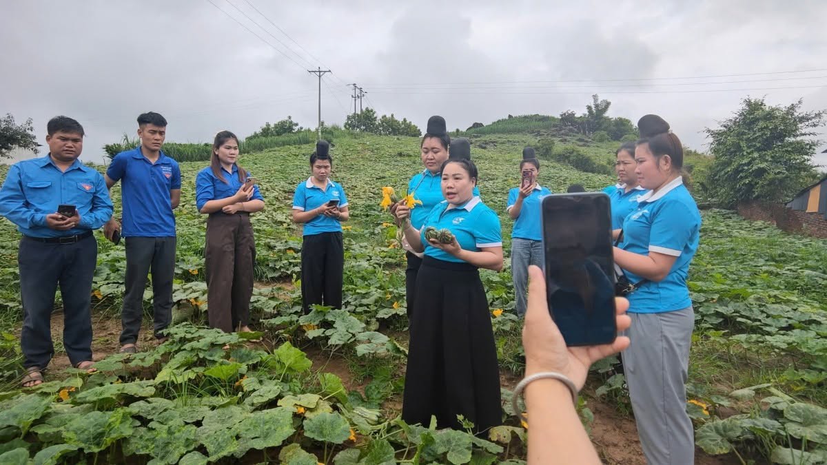 Người phụ nữ khuyết tật dân tộc Thái mở cánh cửa "Bình dân học vụ số" cho cộng đồng- Ảnh 4.