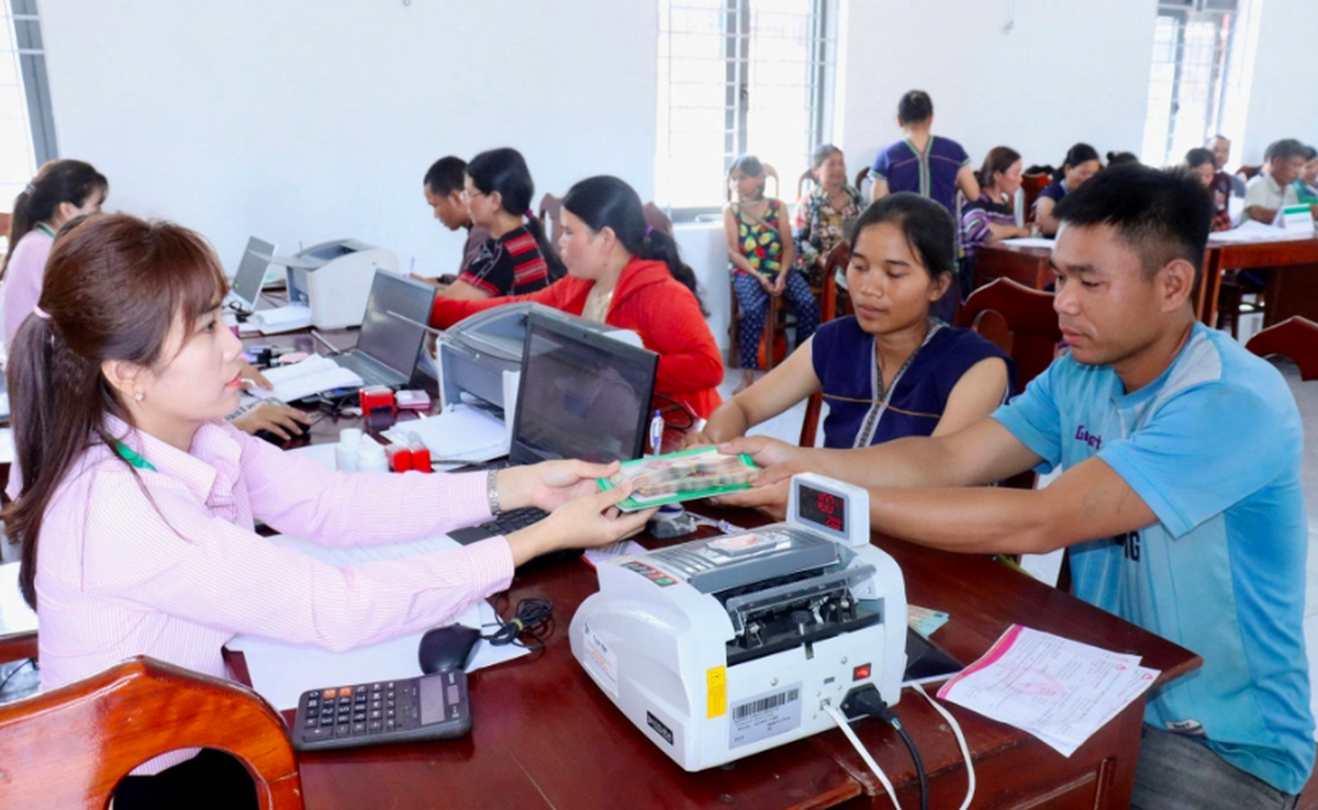 Phụ nữ vùng núi Đà Nẵng tận dụng vốn ưu đãi phát triển kinh tế, thoát nghèo bền vững - Ảnh 1.
