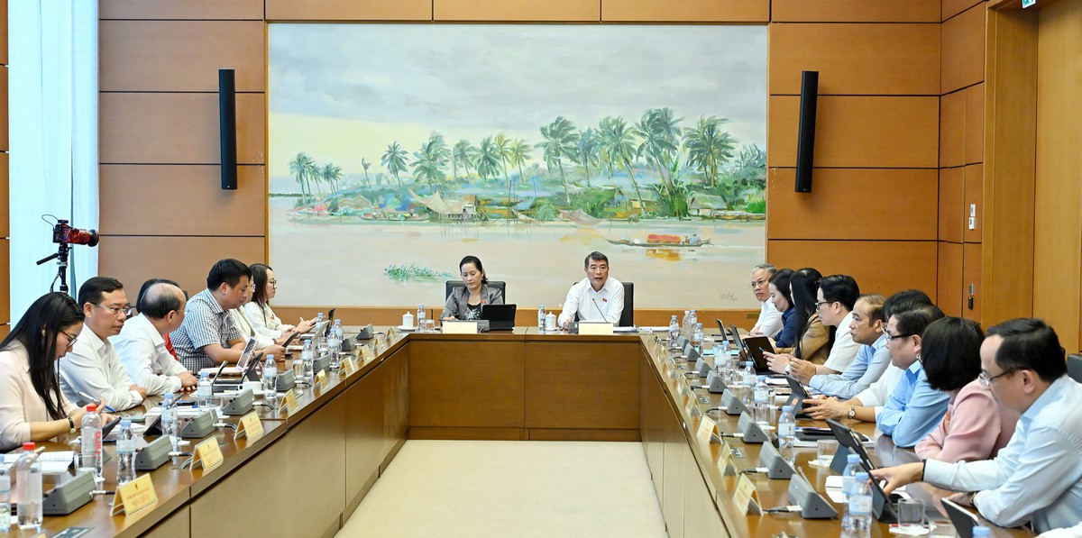 Đại biểu đề nghị bảo đảm nguồn lực cho bình đẳng giới và phát triển con người - Ảnh 1.