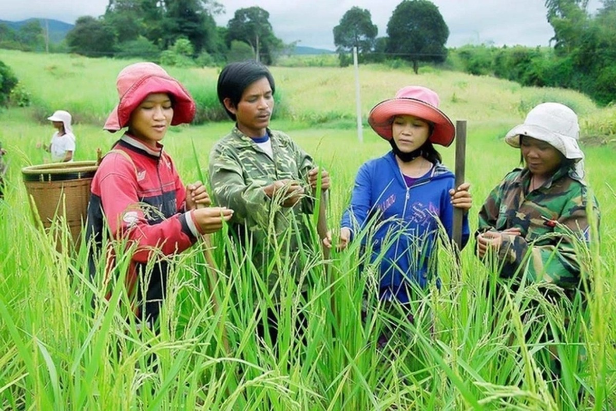 Tích hợp các chương trình mục tiêu quốc gia: Đổi mới phương thức quản trị, quyết không để "hòa loãng" mục tiêu chính sách - Ảnh 3.