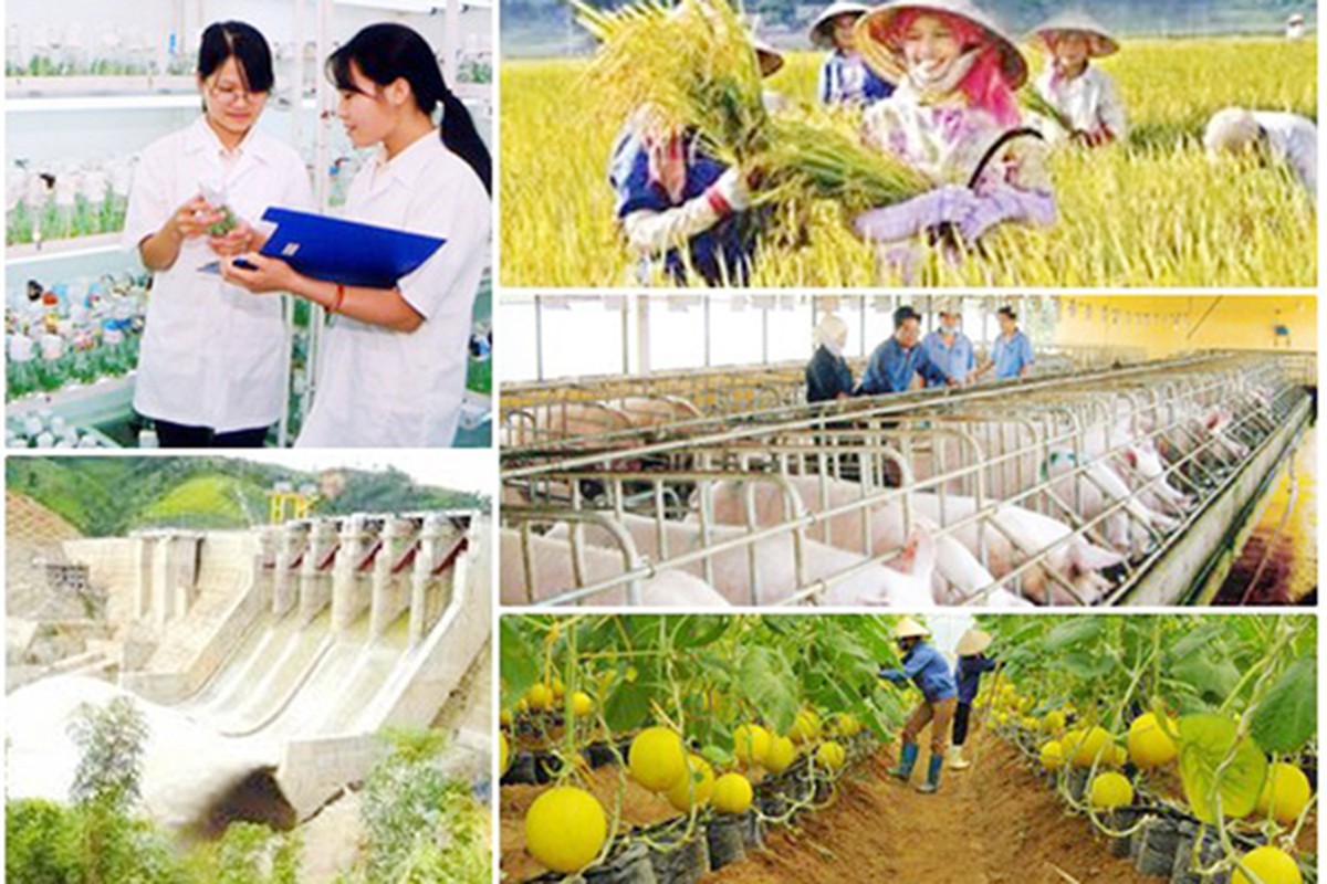 Hợp nhất 4 Chương trình mục tiêu quốc gia: Làm rõ mục tiêu, nguồn lực và cơ chế thực hiện- Ảnh 2.