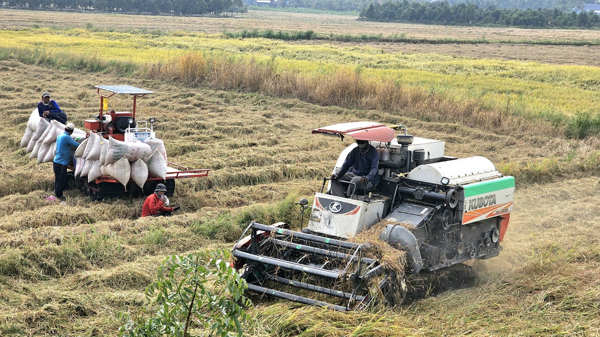 Nông dân miền Tây ứng dụng công nghệ vào sản xuất, kinh doanh - Ảnh 3.