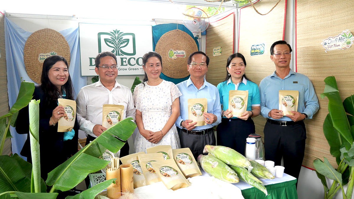 Phụ nữ TPHCM chung tay xây dựng Thành phố Xanh - Sạch và thân thiện môi trường- Ảnh 2.