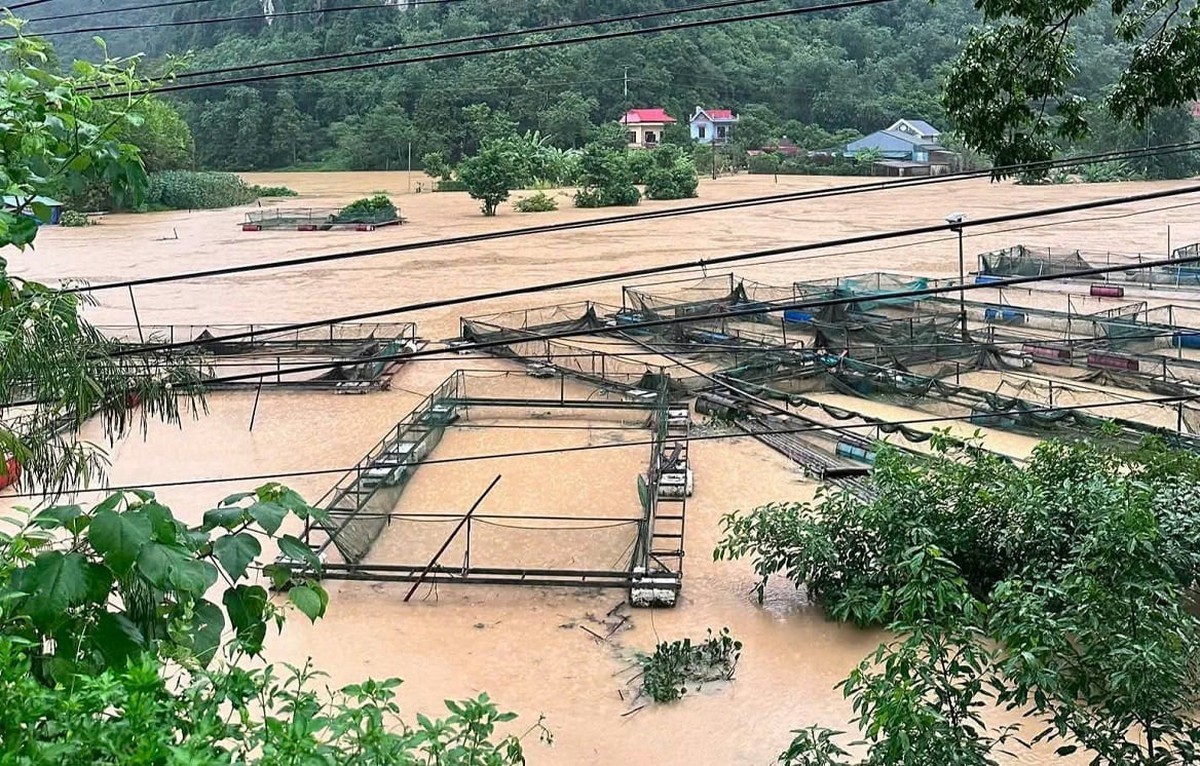 Lạng Sơn: Mưa lũ làm 1 người chết, nhiều người bị thương, thiệt hại nhiều tài sản- Ảnh 4.
