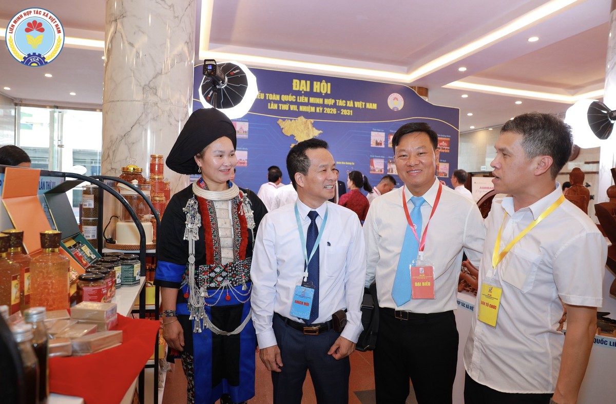 Phiên trù bị Đại hội đại biểu toàn quốc Liên minh Hợp tác xã Việt Nam lần thứ VII- Ảnh 5.