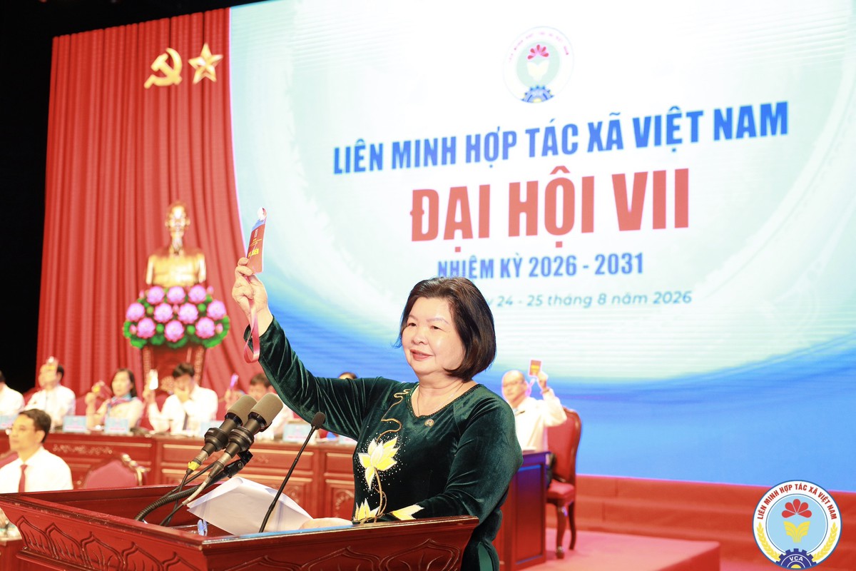 Phiên trù bị Đại hội đại biểu toàn quốc Liên minh Hợp tác xã Việt Nam lần thứ VII- Ảnh 2.