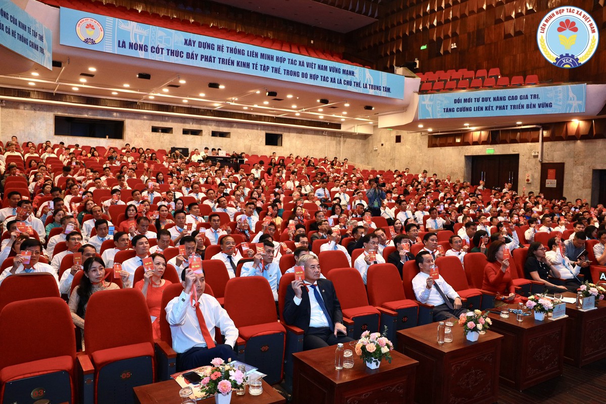 Phiên trù bị Đại hội đại biểu toàn quốc Liên minh Hợp tác xã Việt Nam lần thứ VII- Ảnh 3.