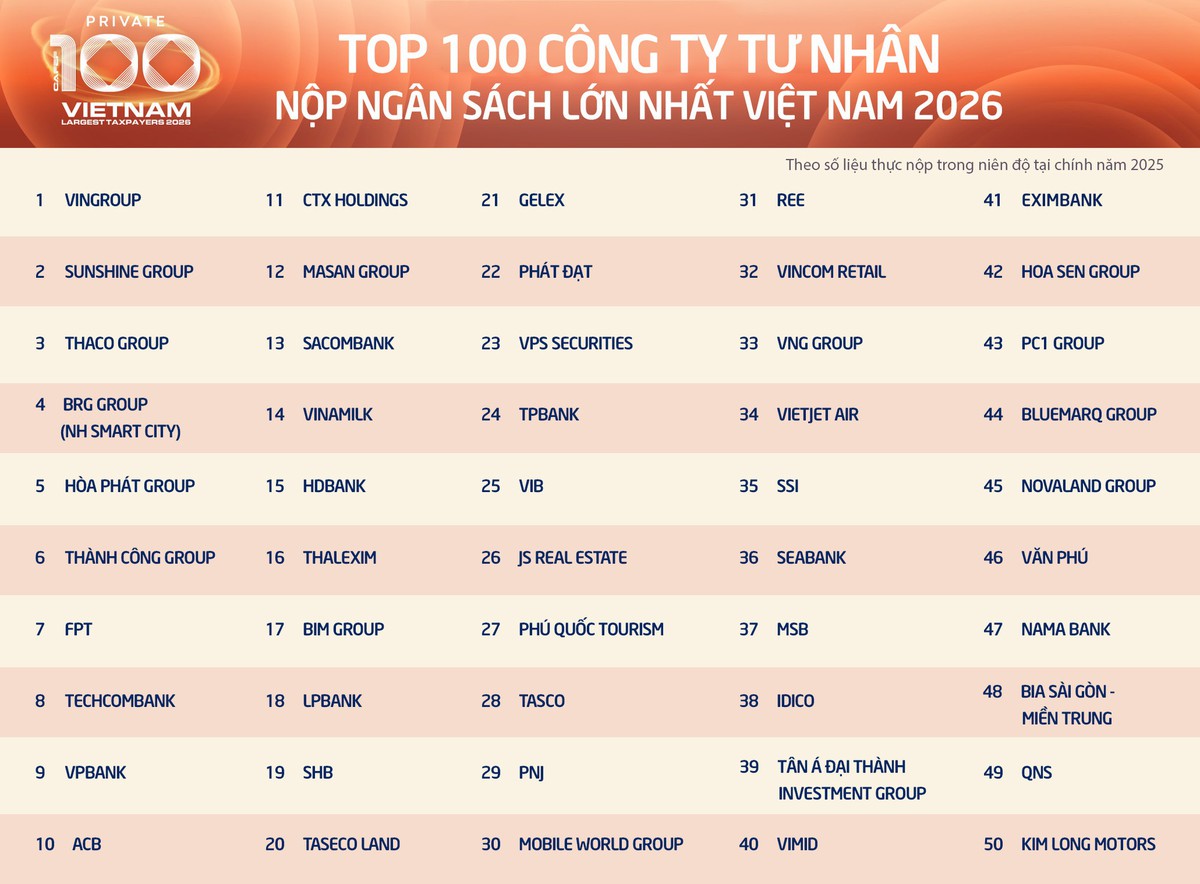 100 doanh nghiệp tư nhân nộp ngân sách lớn nhất Việt Nam đóng góp gần 15% tổng thu - Ảnh 1.