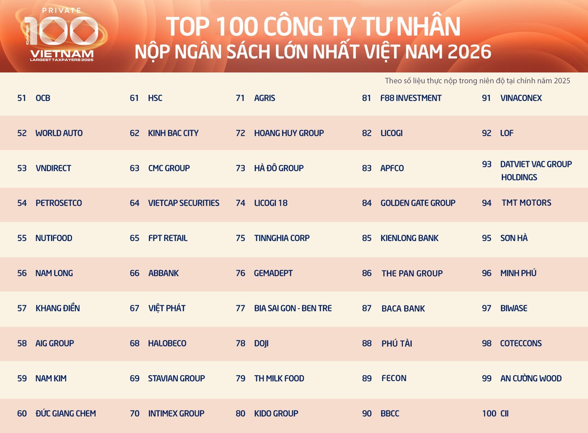 100 doanh nghiệp tư nhân nộp ngân sách lớn nhất Việt Nam đóng góp gần 15% tổng thu - Ảnh 3.