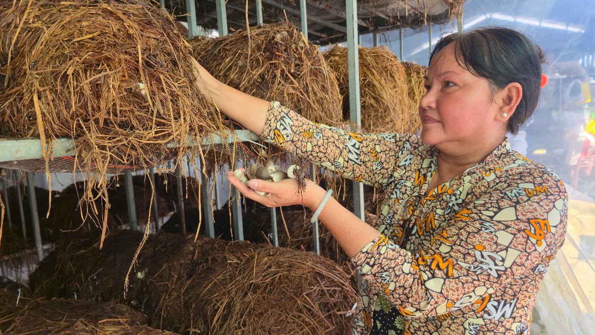 Khởi nghiệp từ nguồn vốn hỗ trợ - Ảnh 1.