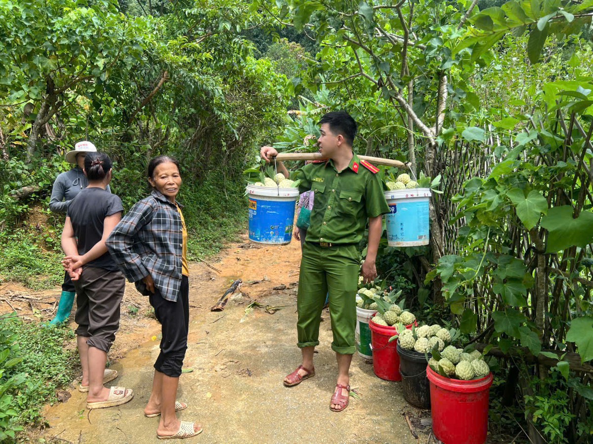 Công an Lạng Sơn giúp người trồng na bớt thiệt hại do mưa lũ- Ảnh 4.