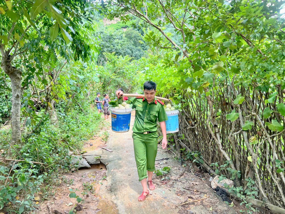 Công an Lạng Sơn giúp người trồng na bớt thiệt hại do mưa lũ- Ảnh 5.