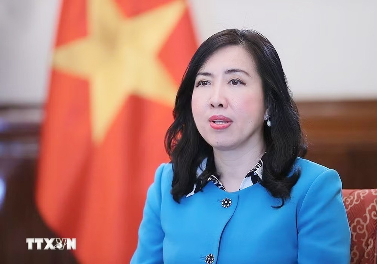 New resolution harnesses OV resources: Deputy Foreign Minister - Ảnh 1.