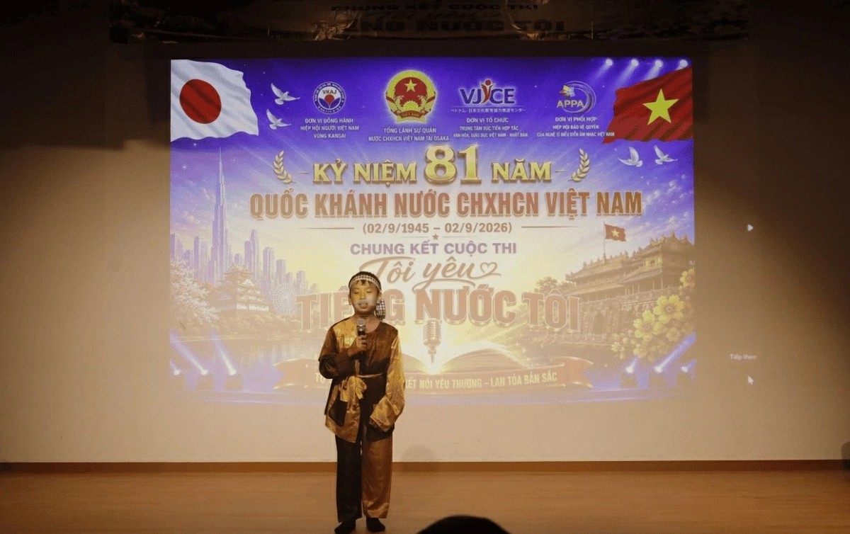 Final of 'I loves Vietnamese' contest: A cultural rendezvous, connecting Vietnamese identity - Ảnh 3.