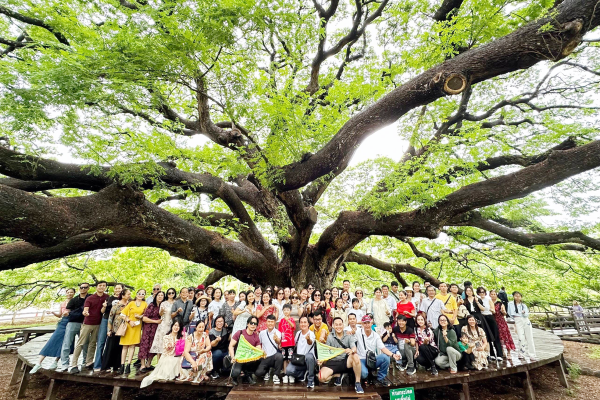 Giá tour 2/9 ổn định, du khách cân nhắc kỹ trước khi “xuống tiền” - Ảnh 2.